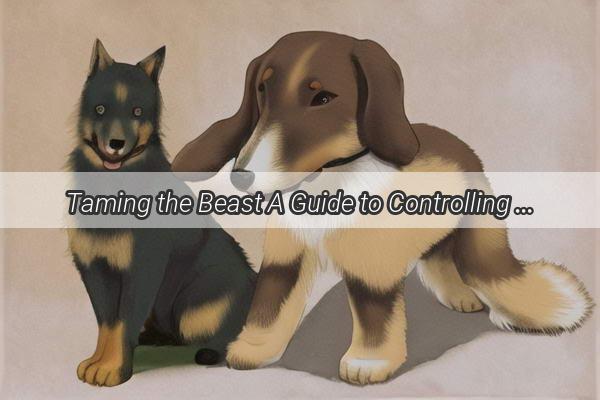 Taming the Beast A Guide to Controlling FastGrowing Ear Fur in Dogs